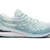 Asics Women's Gel-Kayano 29 (401 - Soothing Sea/Misty Pine) 1 Asics Women's Gel-Kayano 29 (401 - Soothing Sea/Misty Pine) -Swiftwick Shop 1012B272 401 SR RT GLB 1024x768