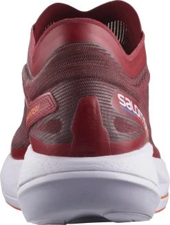 Salomon Men’s Phantasm (Biking/Purple Heather/Vib) -Swiftwick Shop 31DCCB66 E4D3 4054 BCF7 E1632D699F72 1998x2652