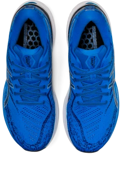 Asics Men's Gel-Kayano 29 (400 - Electric Blue/White) 11 Asics Men's Gel-Kayano 29 (400 - Electric Blue/White) -Swiftwick Shop ECCD4763 E6EF 4102 B1E5 C8CACC64509A 918x1280