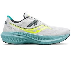 Saucony Men's Triumph 20 (15 - Fog/Mineral)