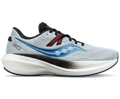 Saucony Men's Triumph 20 (16 - Vapor/Black)